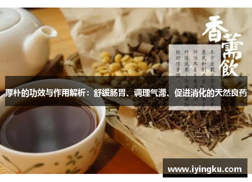 厚朴的功效与作用解析：舒缓肠胃、调理气滞、促进消化的天然良药