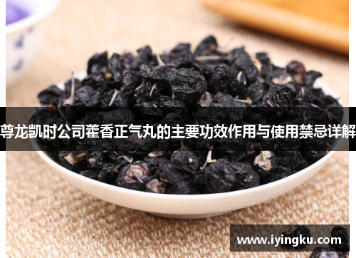 尊龙凯时公司藿香正气丸的主要功效作用与使用禁忌详解