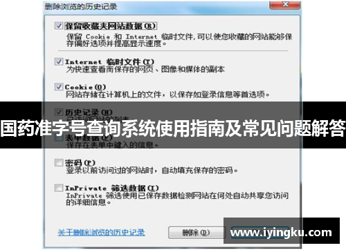 国药准字号查询系统使用指南及常见问题解答