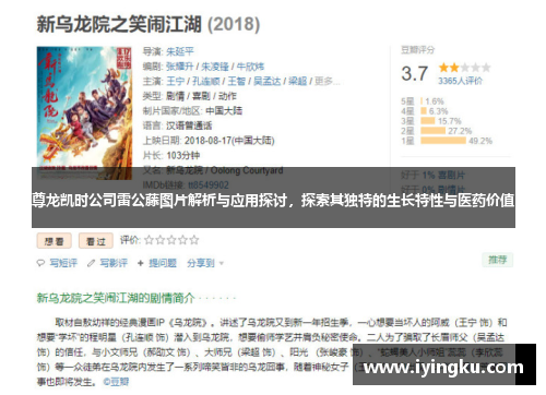 尊龙凯时公司雷公藤图片解析与应用探讨，探索其独特的生长特性与医药价值