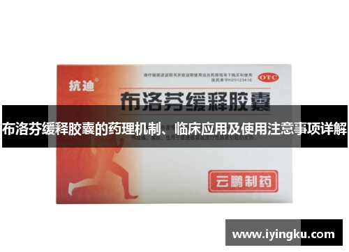 布洛芬缓释胶囊的药理机制、临床应用及使用注意事项详解