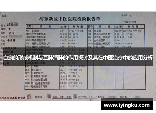 白痰的形成机制与宣肺清肺的作用探讨及其在中医治疗中的应用分析